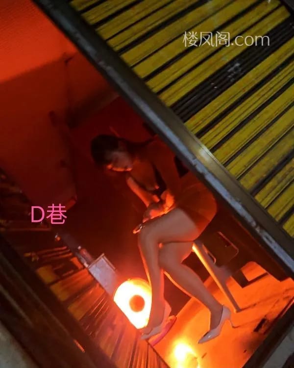 长沙极乐之旅列表封面